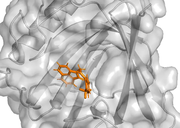 Molecular docking model showing a candidate ligand within a protein binding pocket