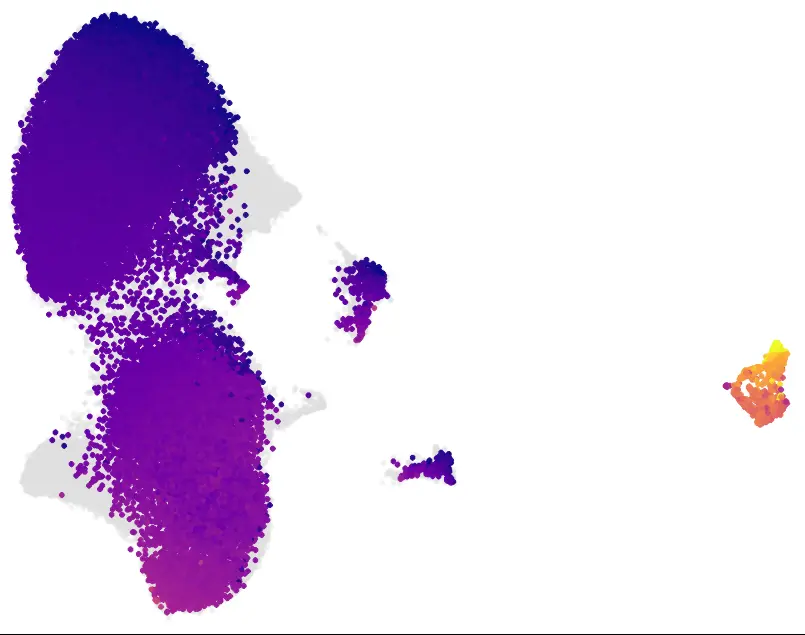 Single-cell map colored from early to late B-cell developmental progression